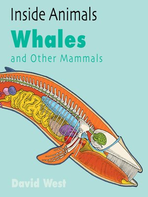cover image of Whales and Other Mammals